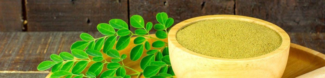 Moringa – właściwości i zastosowanie starożytnego suplementu